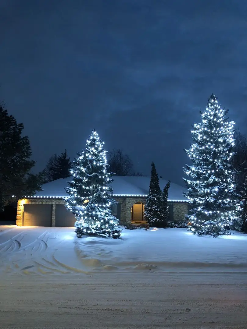 Christmas Lighting Rentals, Moncton · Dieppe · Shediac Christmas Lighting Rentals, Moncton, Dieppe, Shediac